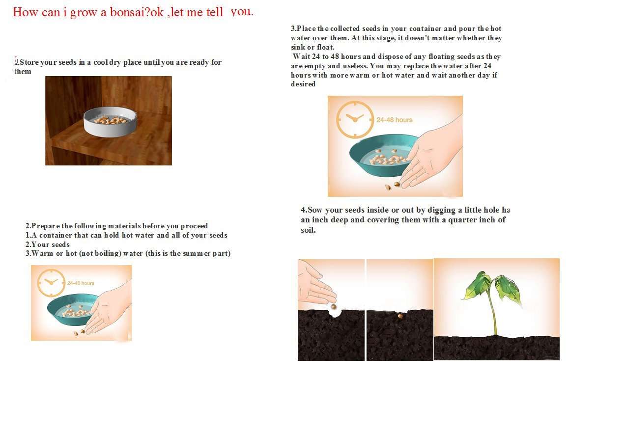 Futaba Senior Courtyard Plants, Delicious Fruit Seeds, Gold Finger 50pcs Grape Seeds 4