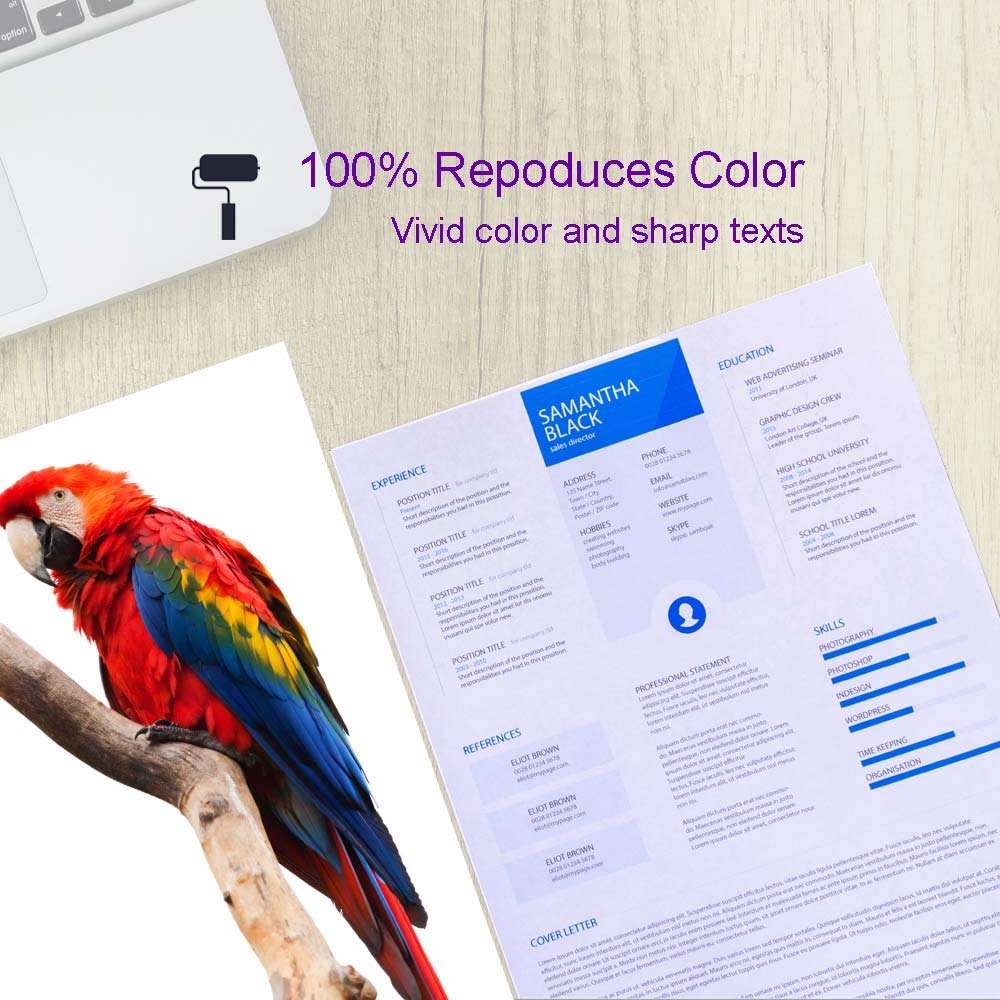 Karl Aiken Compatible Ink Cartridge Replacement for Canon 280 281 PGI-280XXL CLI-281XXL for PIXMA TR7520 TR8520 TS6120 TS6220 TS8220 TS9120 TS9520 TS9521C Printer (10PK 2BK 2PBK 2C 2M 2Y) 5