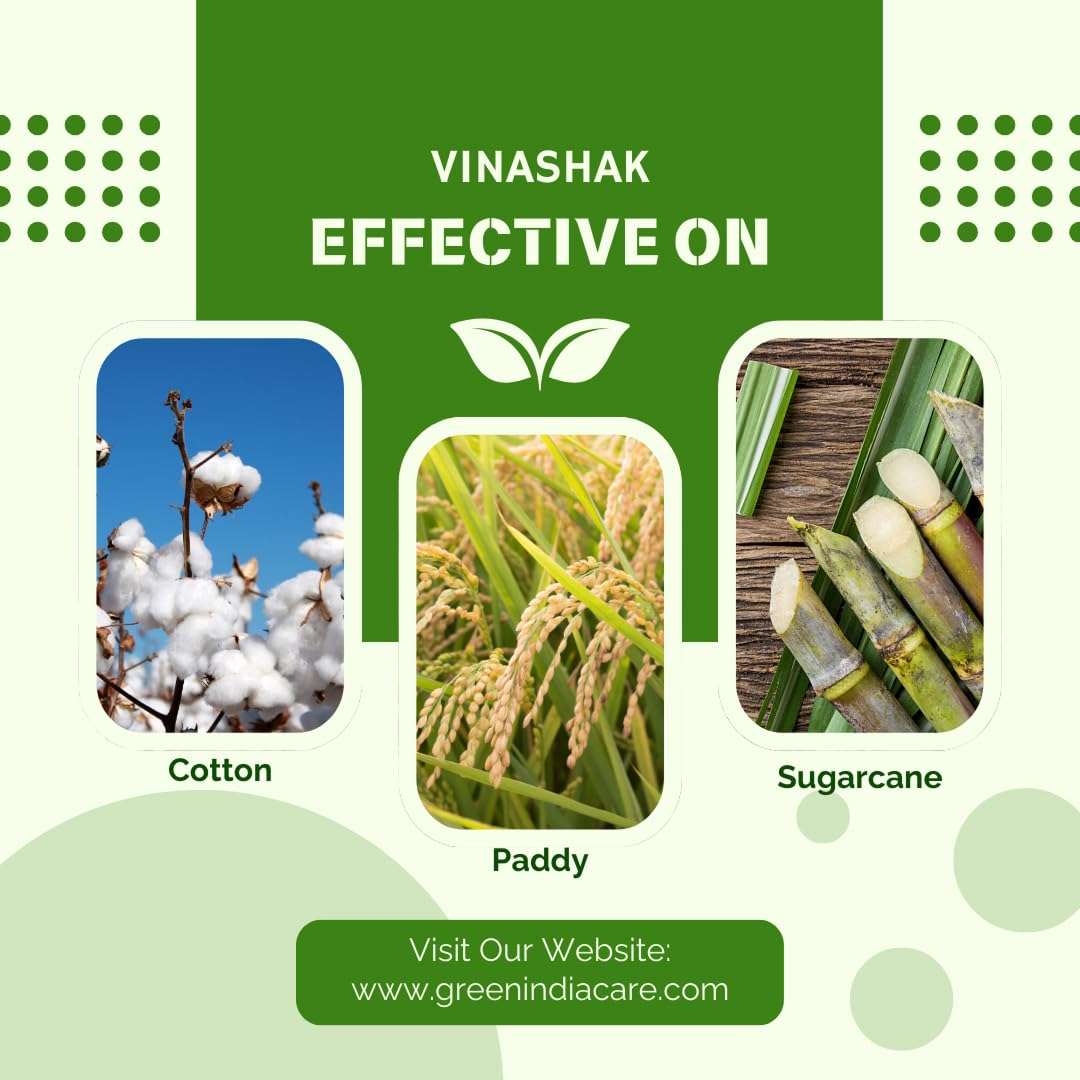 Green India Care VINASHAK (1L) 3