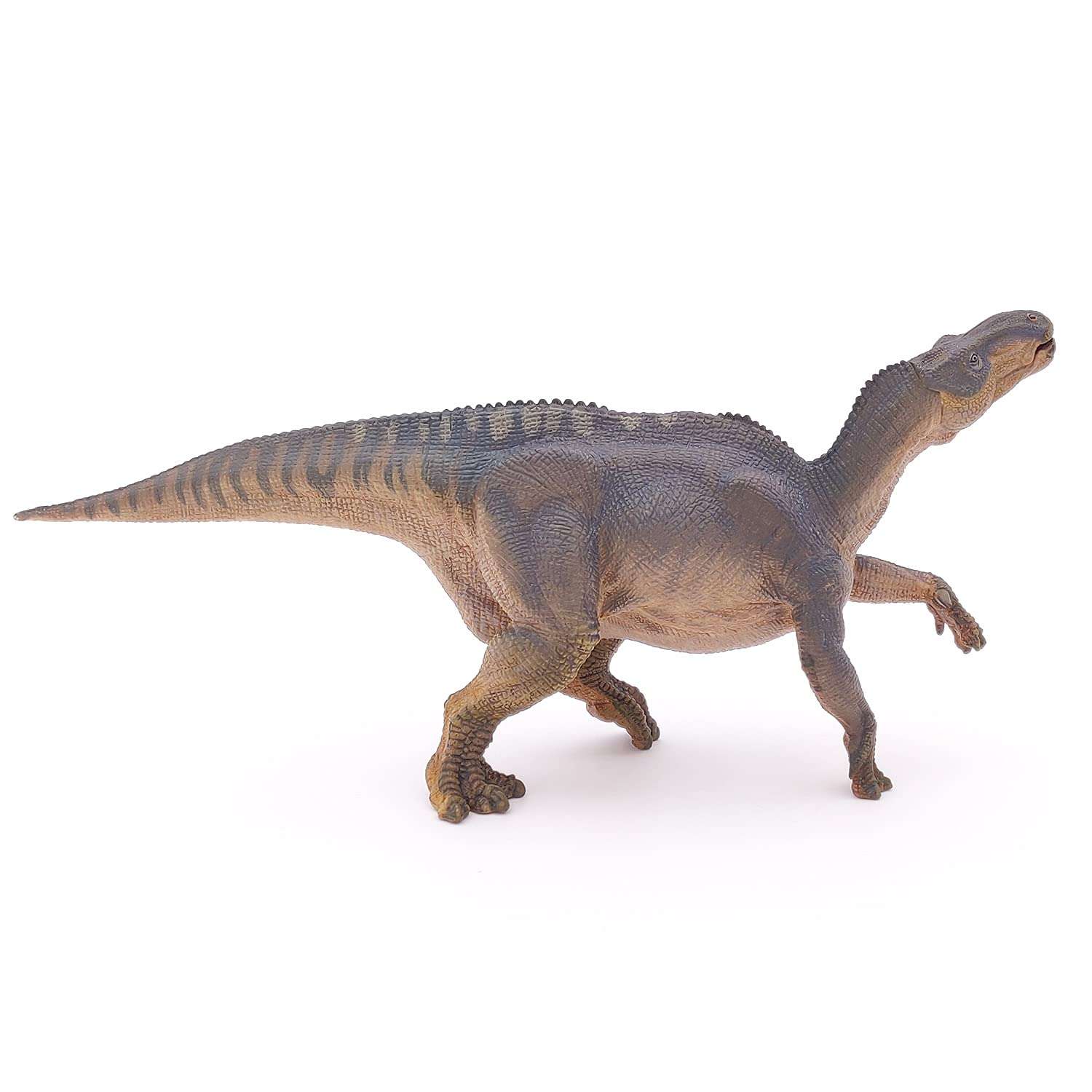 Papo - Iguanodon - Realistic Figurine - for Ages 3+ - Dinosaurs Collection - Hand Painted - Highly Detailed - Durable and Educational - Gift Idea - Collectable - Iguanodon Toy - Dinosaur Figurine 6
