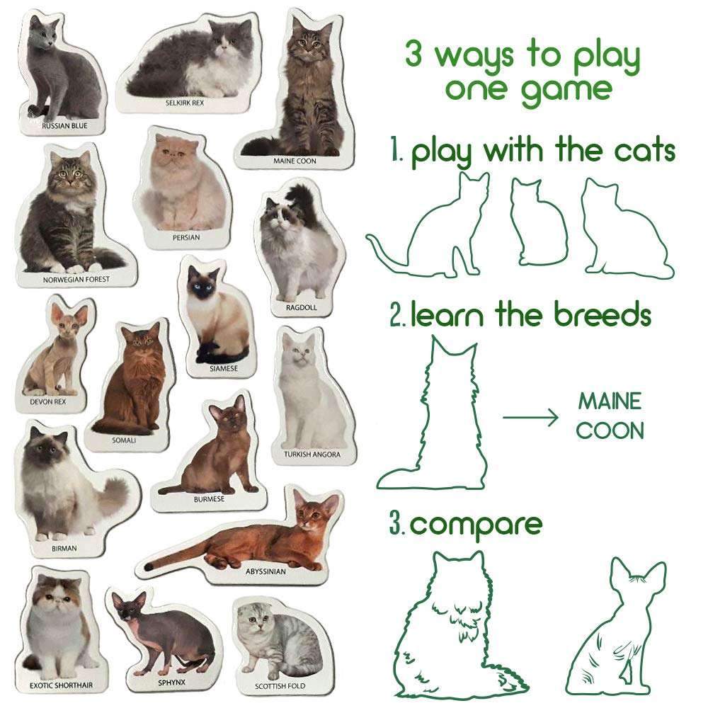 magdum Photo Cats Breeds- Animal Magnets for Kitchen -Real Large Fridge Magnets for Toddlers- Magnetic Educational Toys Baby 3 Year Old Baby - Learning Magnets for Kids- Kid Magnets Magnetic Theatre 4