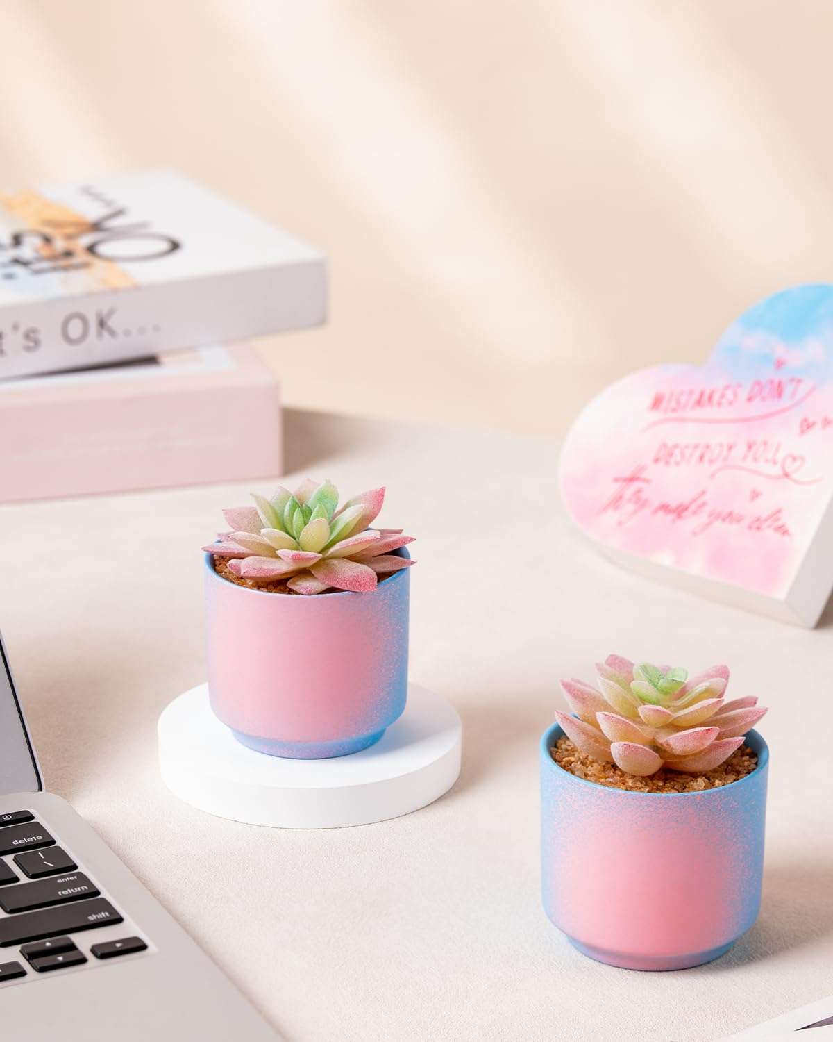 ZENIDA Pink and Blue Desk Decor, Fake Succulents with Pots, Artificial Plants, Small Fake Plants for Office, Desk, Bathroom, Bedroom, Office Decor for Women, Party Gifts 3