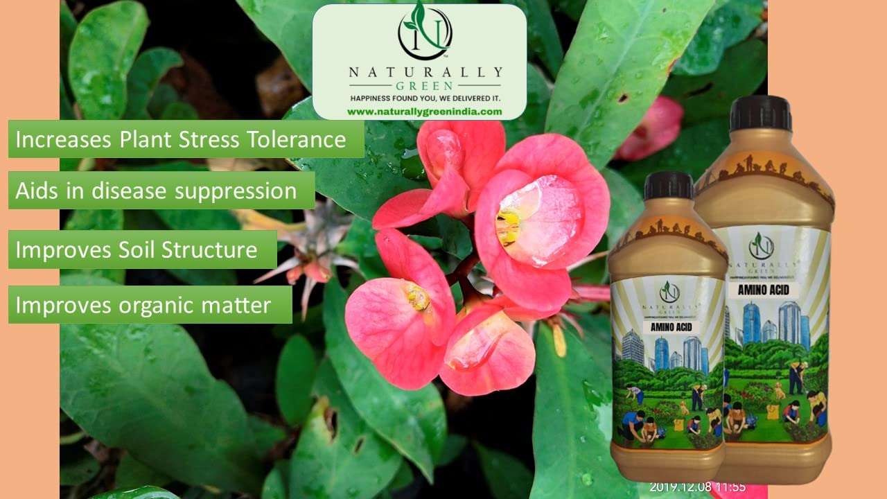 Naturally Green Amino Liquid Based Bio Stimulant Concentrate for Plants Plant Growth and Yield Booster (500ml) 3