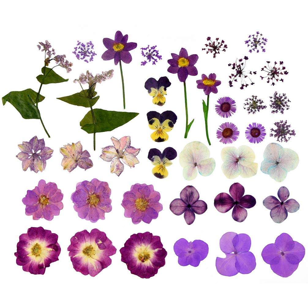 Natural Dried Flowers Mixed Multi-Color Pressed Flower Mini Rose Hydrangea Daisy for Art Craft DIY Resin Nail Art Floral Decors (Purple) 5
