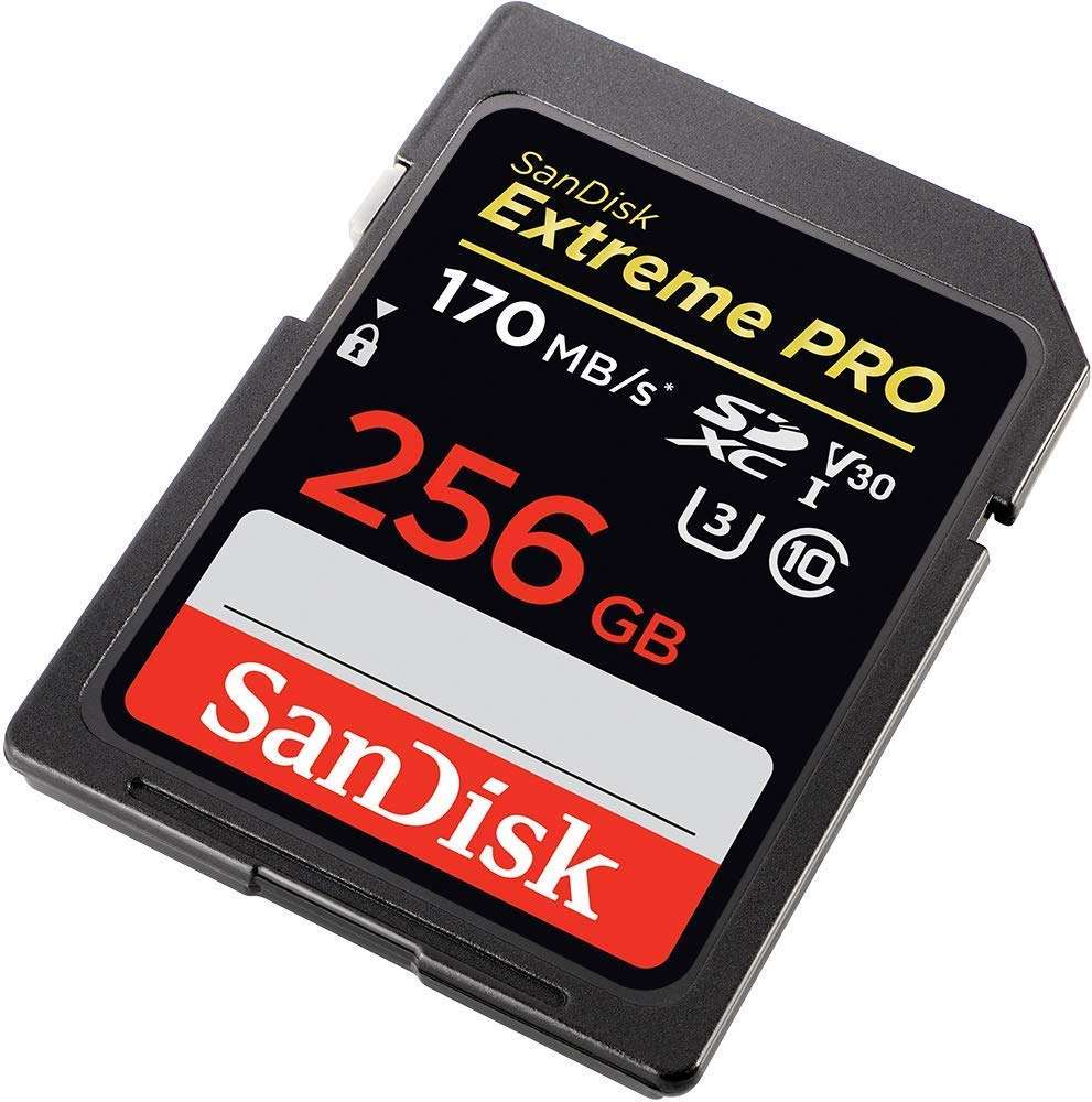 SanDisk 256GB SDXC Extreme Pro Memory Card Bundle Works with Olympus OM-D E-M10 Mark II, Pen E-PL9 Mirrorless Camera 4K V30 (SDSDXXY-256G-GN4IN) Plus (1) Everything But Stromboli TM Combo Card Reader 4