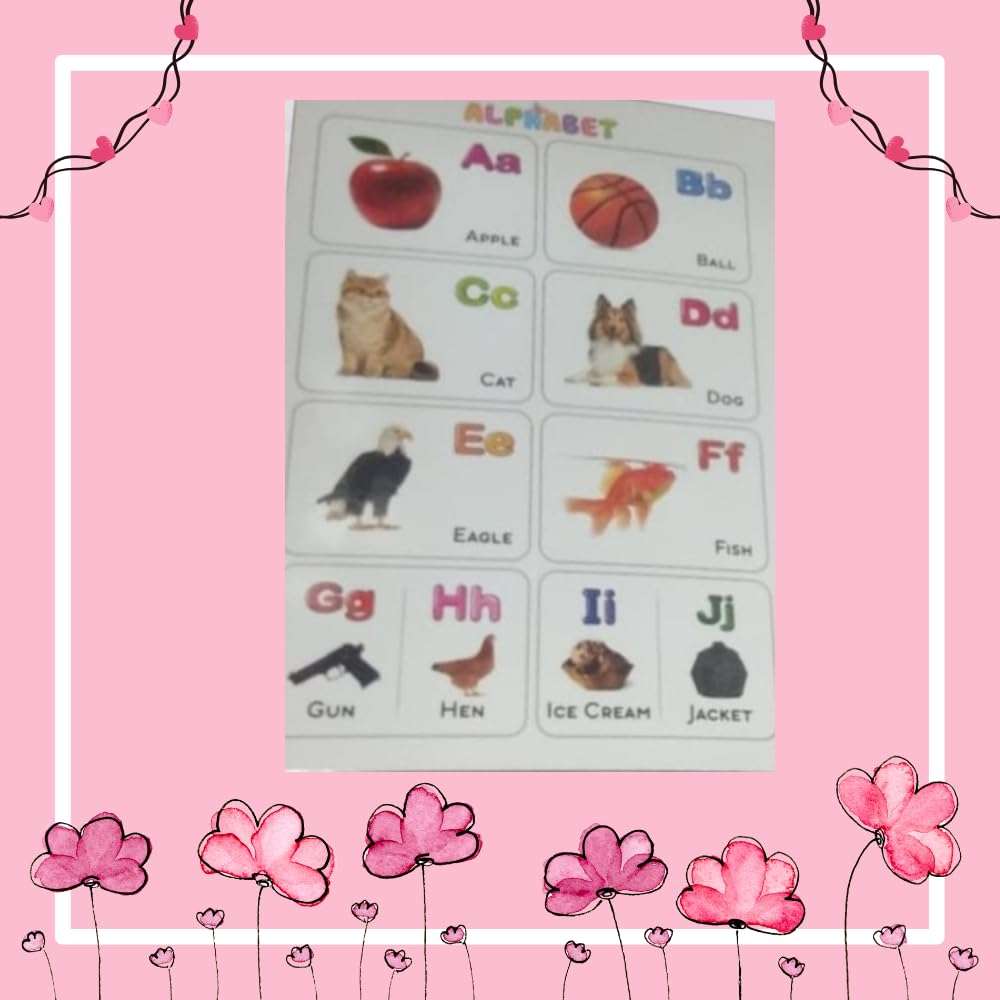 Preschool Board Book Set of Alphabet Numbers Animals Transport for Kids Early Learning Education of Preschooler Birthday Gift (All in One (Alphabet Number Transport Animal Birds Fruit Vegetable)) 5