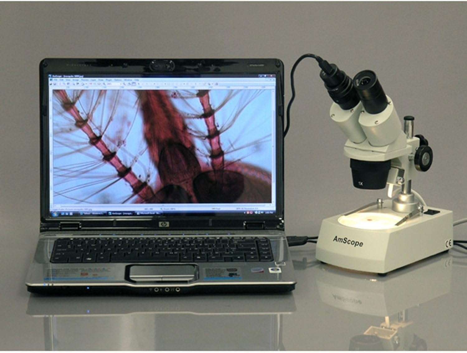 AmScope SE305R-PZ-E Digital Forward-Mounted Binocular Stereo Microscope, WF10x and WF20x Eyepieces, 10X/20X/30X/60X Magnification, 1X and 3X Objectives, Upper and Lower Halogen Lighting, Reversible Black/White Stage Plate, Pillar Stand, 120V, Includes 0.3MP Camera and Software 5