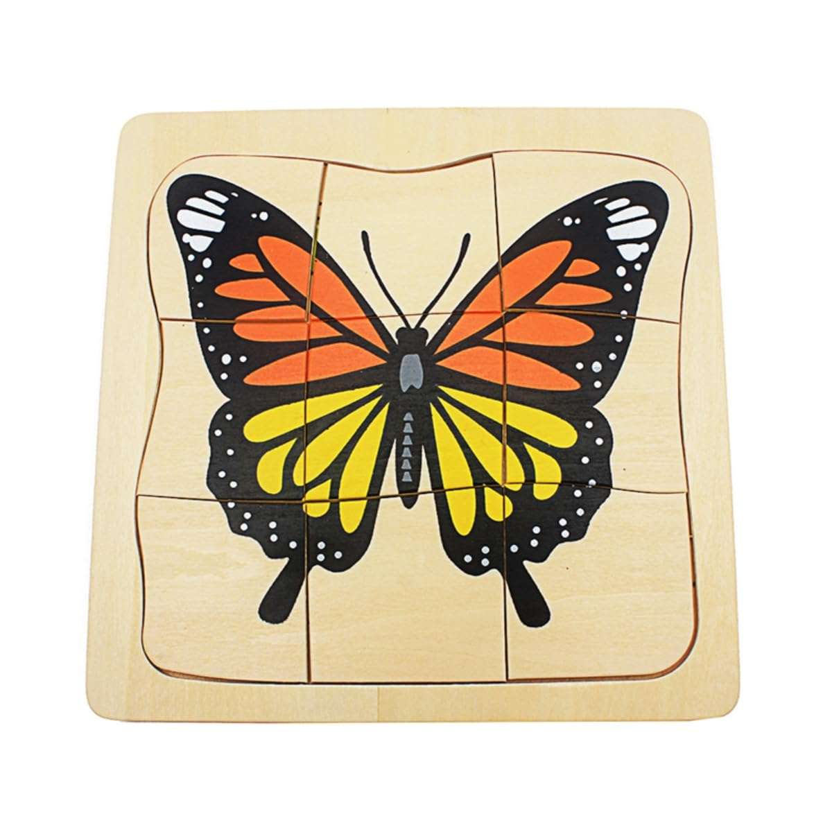 Toddler Montessori Science Toys Life Cycle of Butterfly Grow up 3D Puzzle Panel Preschool Infant Animals & Nature Kindergarten Butterfly Growth Puzzle 1
