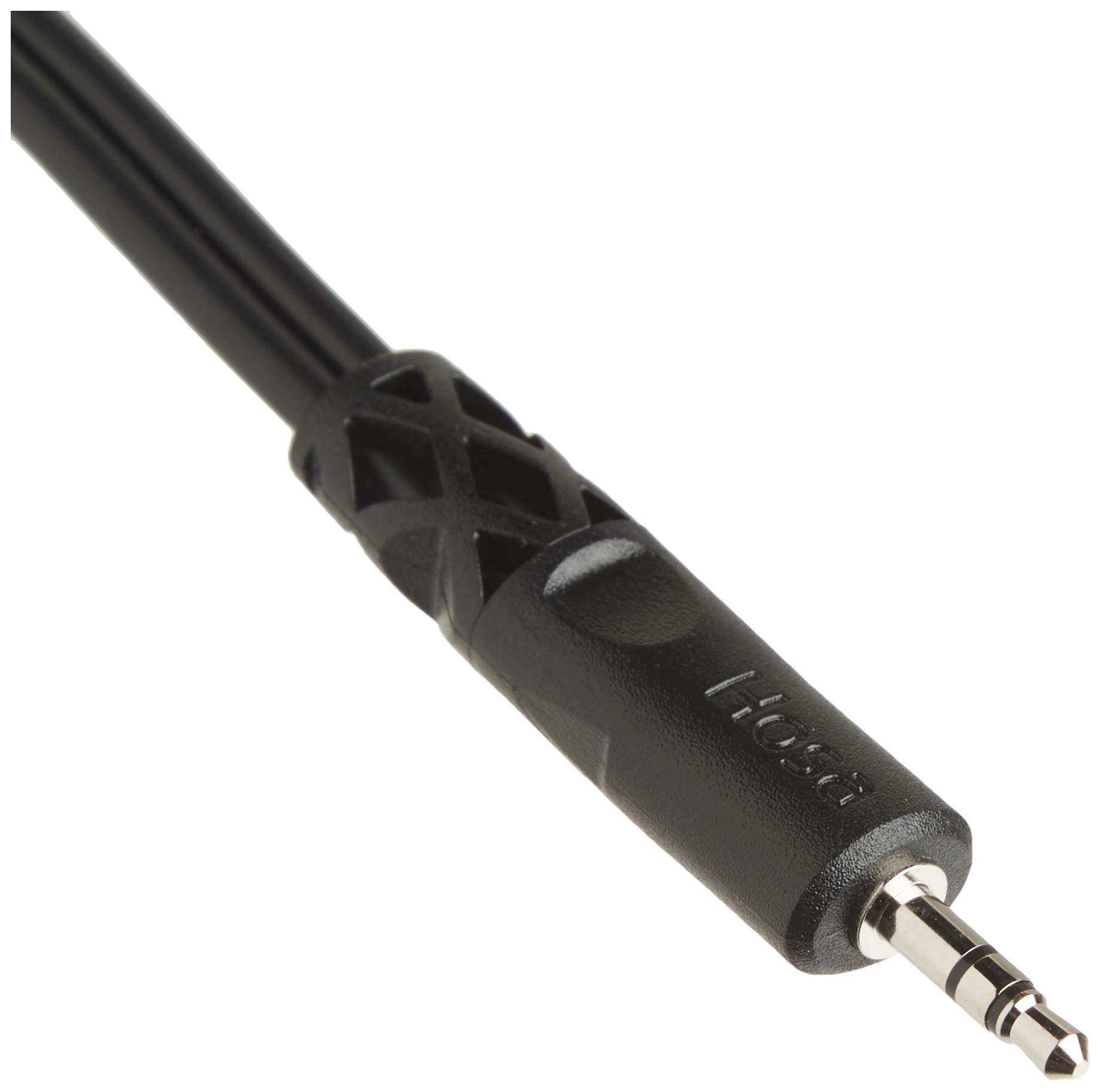 Hosa YMM-261 3.5 mm TRS to Dual 3.5 mm TSF Stereo Breakout Cable, Black 3