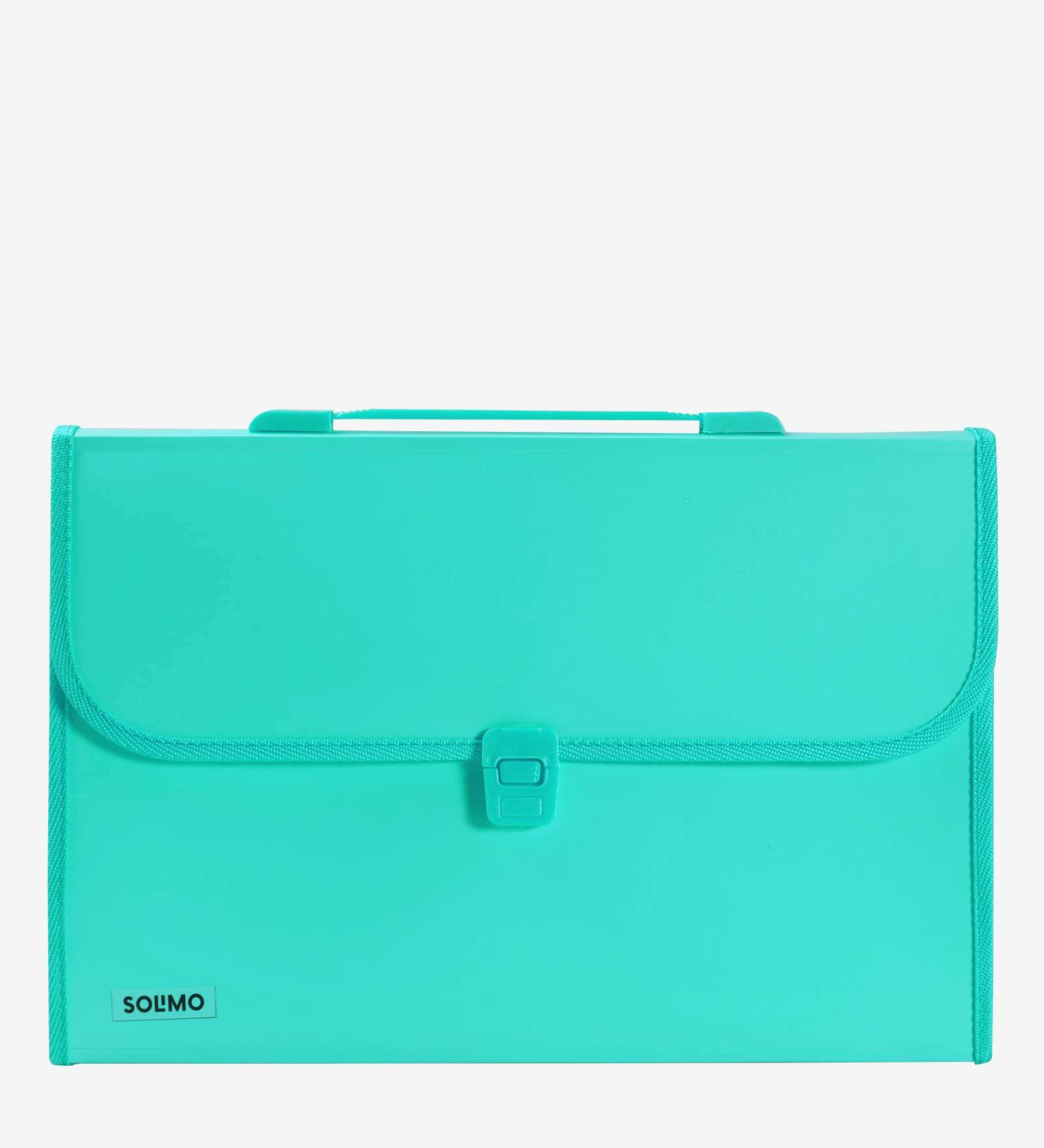 Amazon Brand - Solimo Plastic Expanding File Folder with 13 Pockets, Handle, and Buckle Closure, for A4 Size Documents (Green) 1