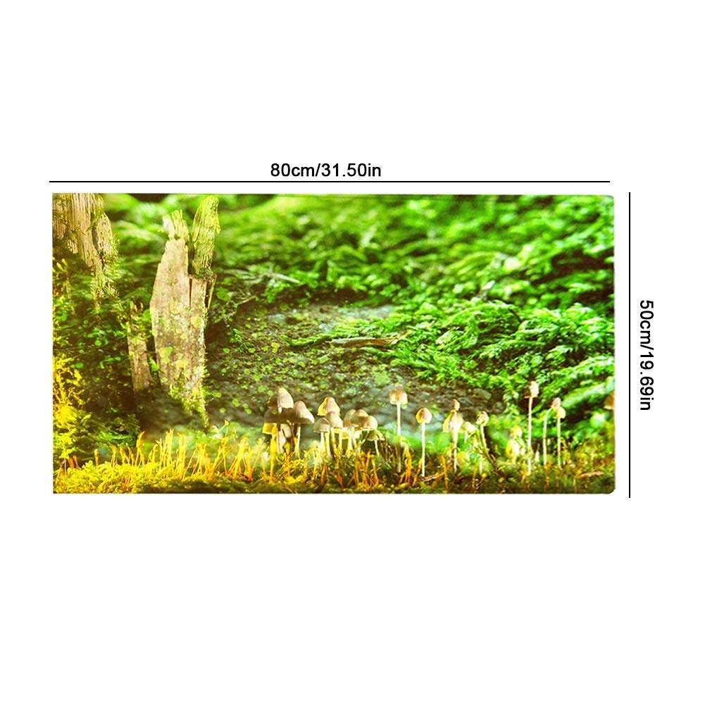 Indoor Door Mat, Super Absorbent Soft Non-Slip Non Slip Mat for Drying for Bathroom Bedroom, Kitchen(80 * 50cm) 5