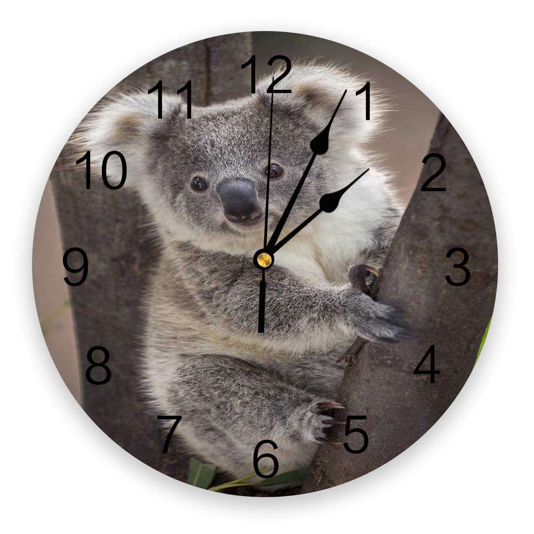 CosyBright Silent PVC Wall Clock 12 Inch Round Wall Clock Koala Bear Australia Wild Animals Hanging Clock for Kitchen Non Ticking Battery Operated Living Room Mute Clock 1