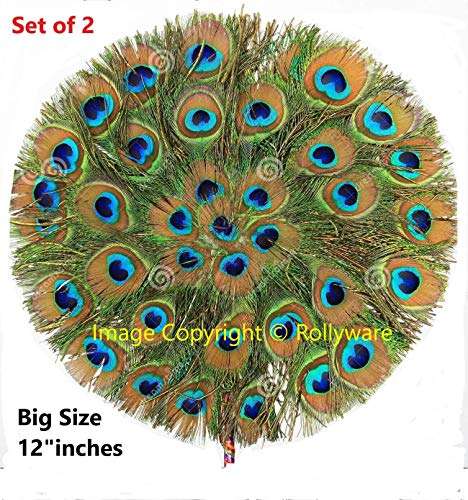 Rollyware Natural Peacock Feather More Pankh Fan Tails Original Full Length Laddu Gopal Handmade Morpankh Peacock Feather Dress, Pack of (4) 2