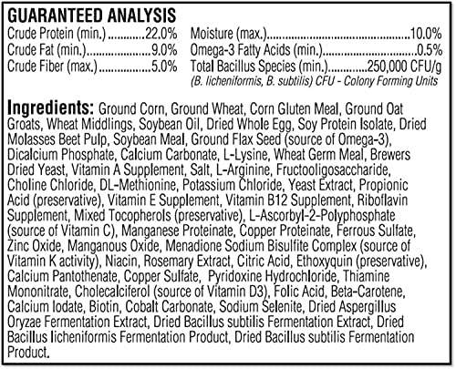 Kaytee no flavor Exact Hand Feeding Powder for Baby Bird Food (18oz), Brown -100032328 4