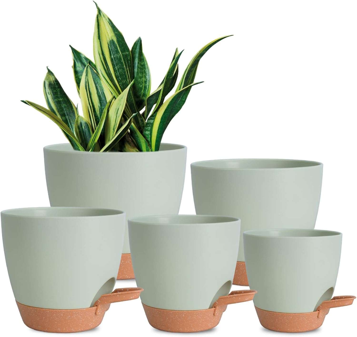INKULTURE Flower Pot for Indoor Plants – Self Watering Plant Pot Set of 5, Multi Size Plastic Planter with Drainage Hole & Watering Lip (7/6.5/6/5.5/5 Inch) Green | Pots for Home, Office & Succulents