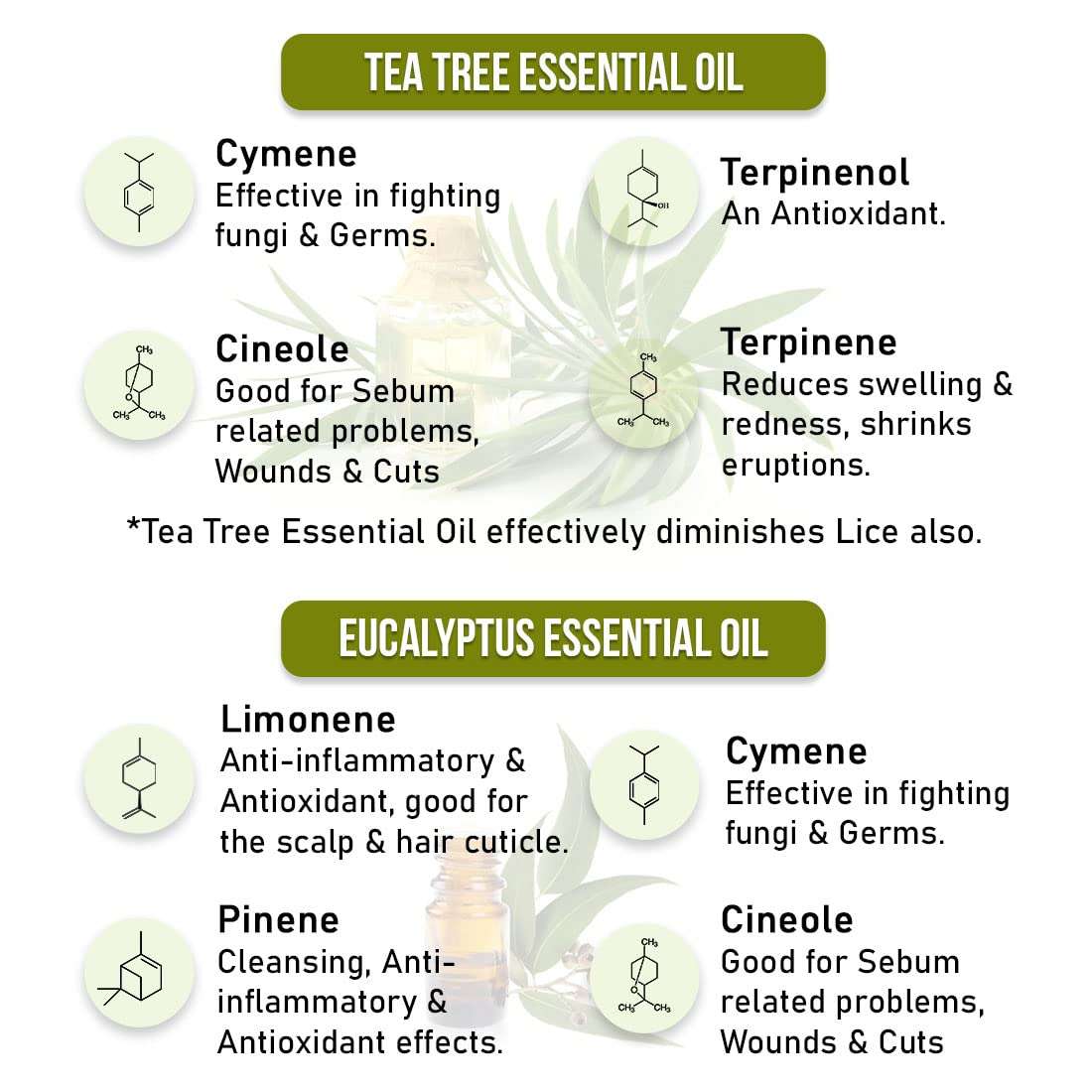 Keya Seth Aromatherapy, Scalp care Dandruff Removal Solution with Tea Tree & Eucalyptus Oil Non-Sticky, Non-Oily –Reduces Flakes & Itchy Scalp120ml 5