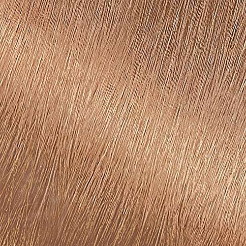 Garnier Nutrisse Nourishing Hair Color Creme, 80 Medium Natural Blonde (Butternut) (Packaging May Vary) 2