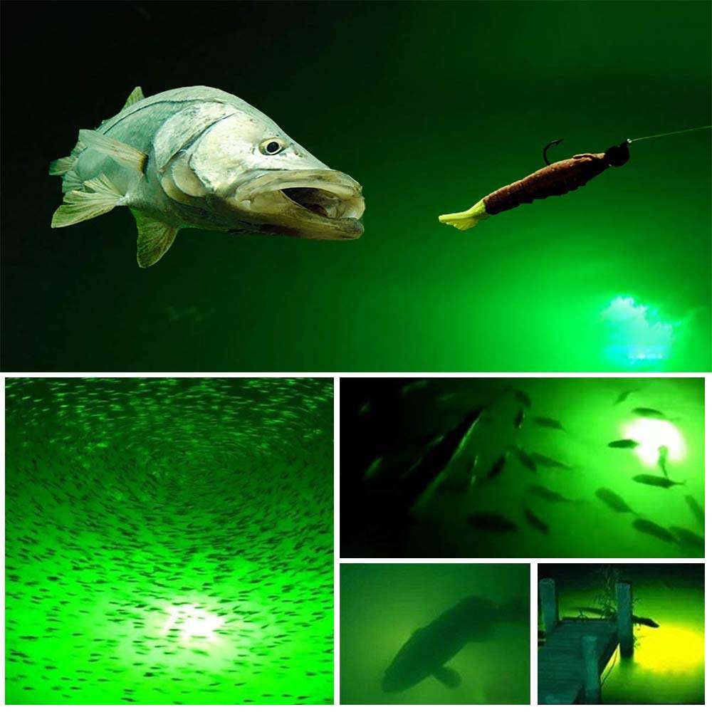 Fishing Light 12V 120LED 1000 lumens Lure Bait Finder 10.5W Night Fishing Finder Lamp Light LED Submersible Deep Drop Underwater Light with Battery Clip and Power Plug 6M Power Cord 4