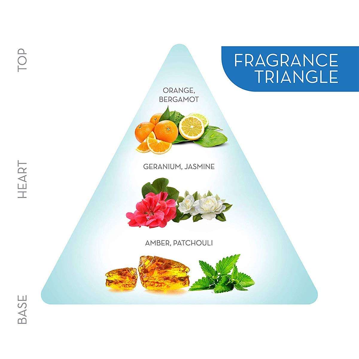 Engage M1 Perfume for Men, Citrus and Woody Fragrance Scent, Skin Friendly Perfume for Men Long Lasting Smell, 120ml 6