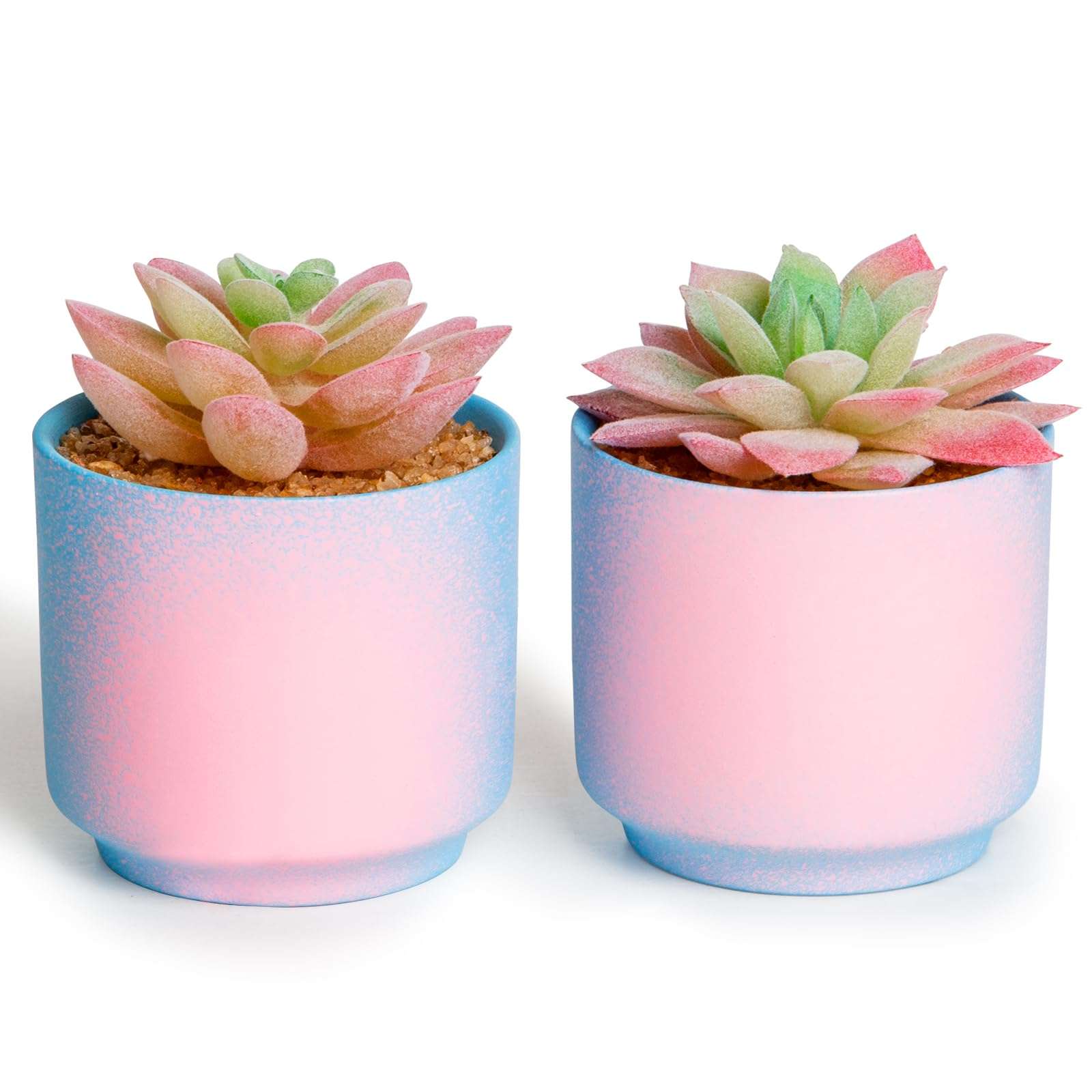ZENIDA Pink and Blue Desk Decor, Fake Succulents with Pots, Artificial Plants, Small Fake Plants for Office, Desk, Bathroom, Bedroom, Office Decor for Women, Party Gifts 1