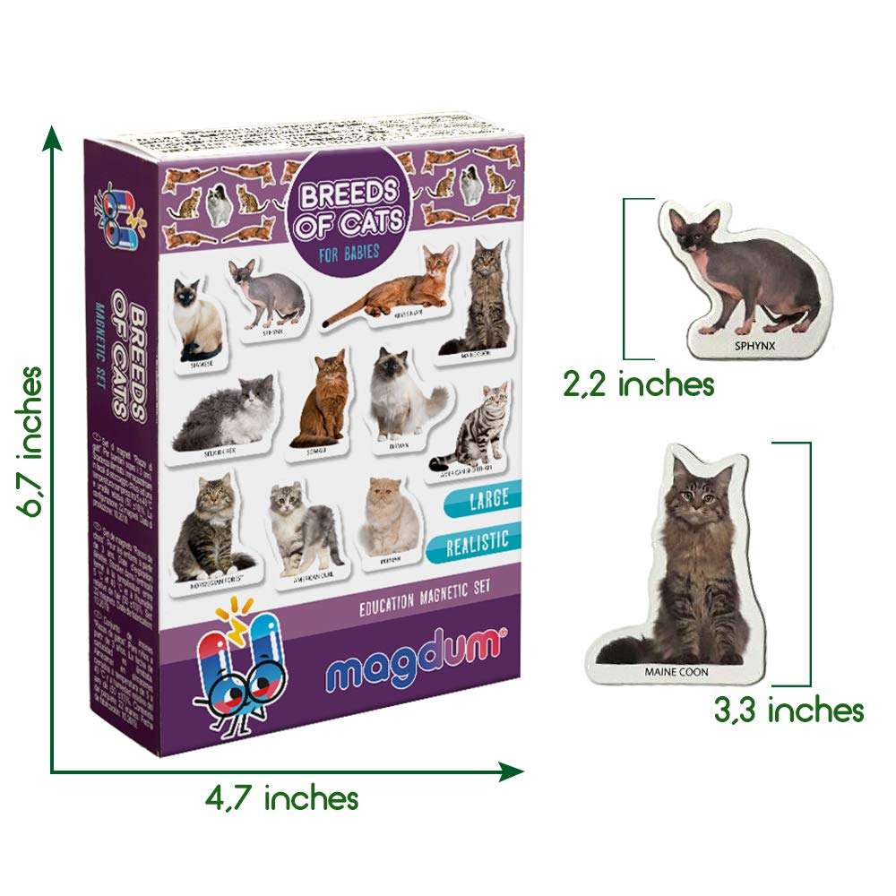 magdum Photo Cats Breeds- Animal Magnets for Kitchen -Real Large Fridge Magnets for Toddlers- Magnetic Educational Toys Baby 3 Year Old Baby - Learning Magnets for Kids- Kid Magnets Magnetic Theatre 6