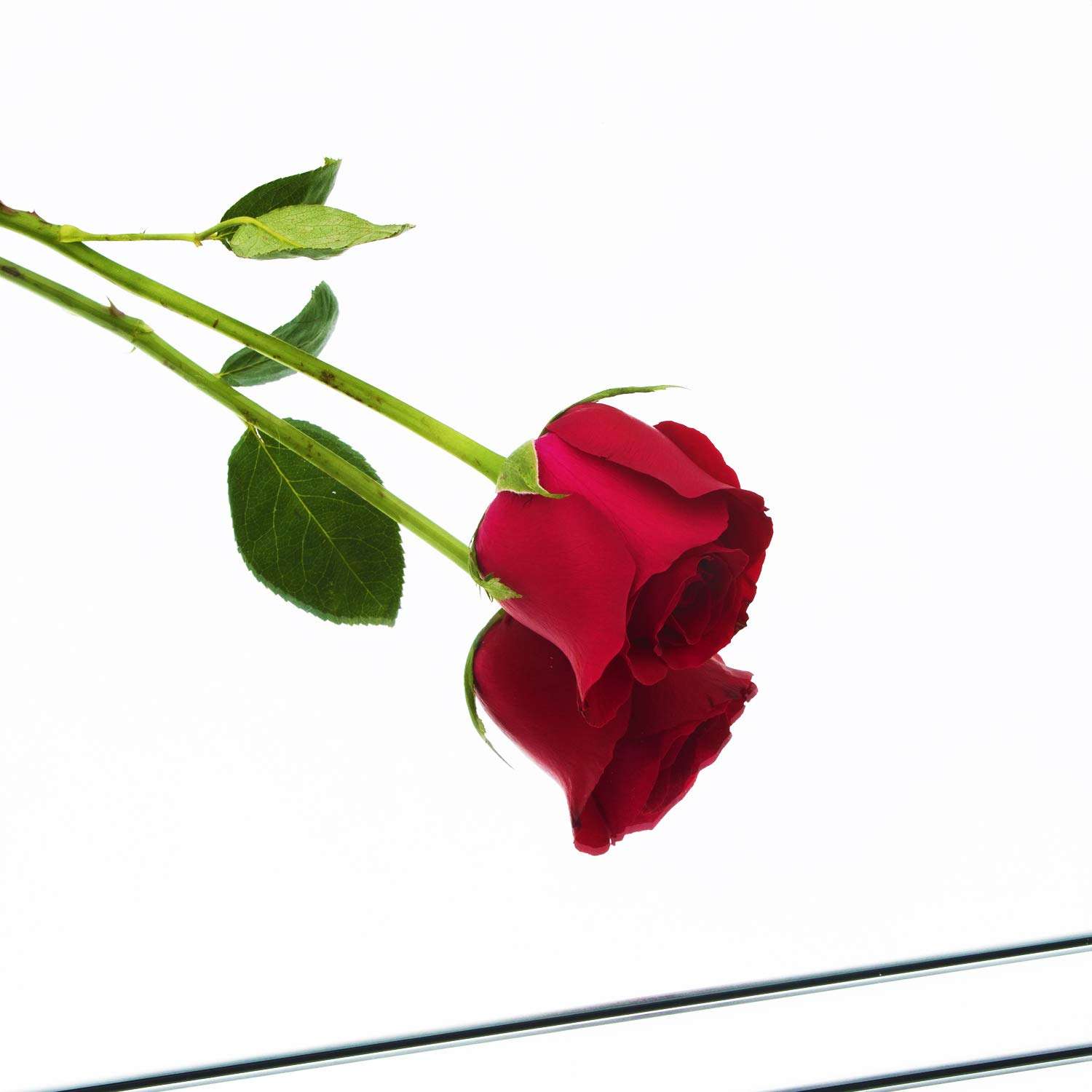 Ruomeng Full Length Wall Mirror Tiles - 12" x 16" x 4Pcs Frameless Full Body Mirror Tiles Wall Mounted Mirror for Home Gym Vanity Bedroom, Living Room 6