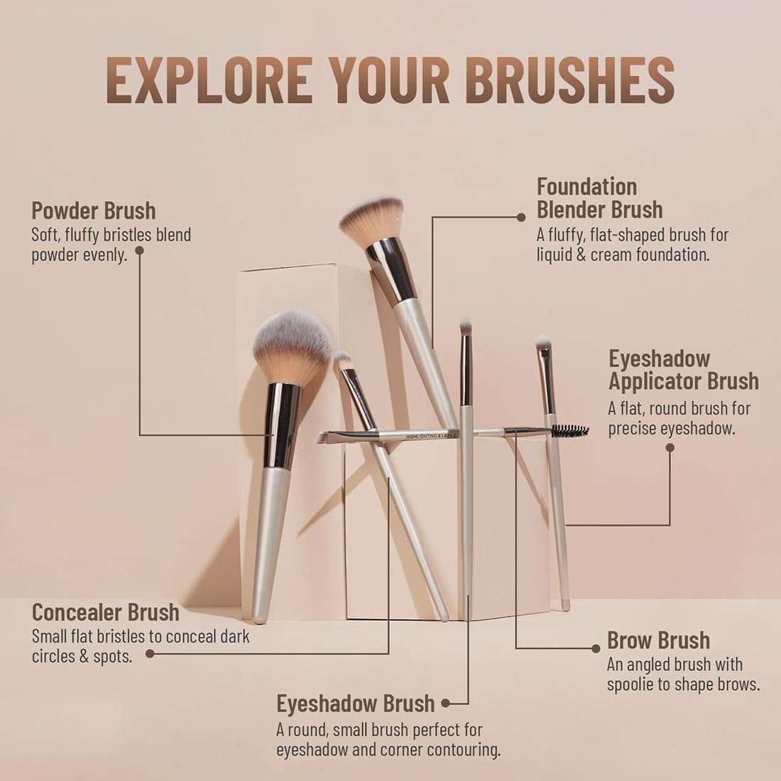 Everdiva Makeup Brush Professional Face and Eye Brushes, Rose Gold and Champagne, Synthetic Bristles, For Cream, Liquid & Powder Includes Foundation, Eyeshadow, Concealer, Brow & Powder Brushes Easy Blending & Travel-Friendly - Set of 6 4