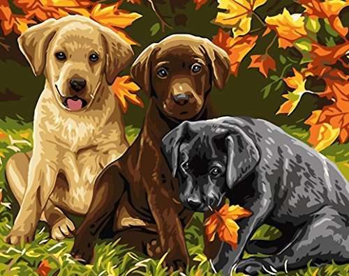 ES Art DIY PBN-Paint by Numbers Three Dogs 16-by-20 inches Frameless. 1