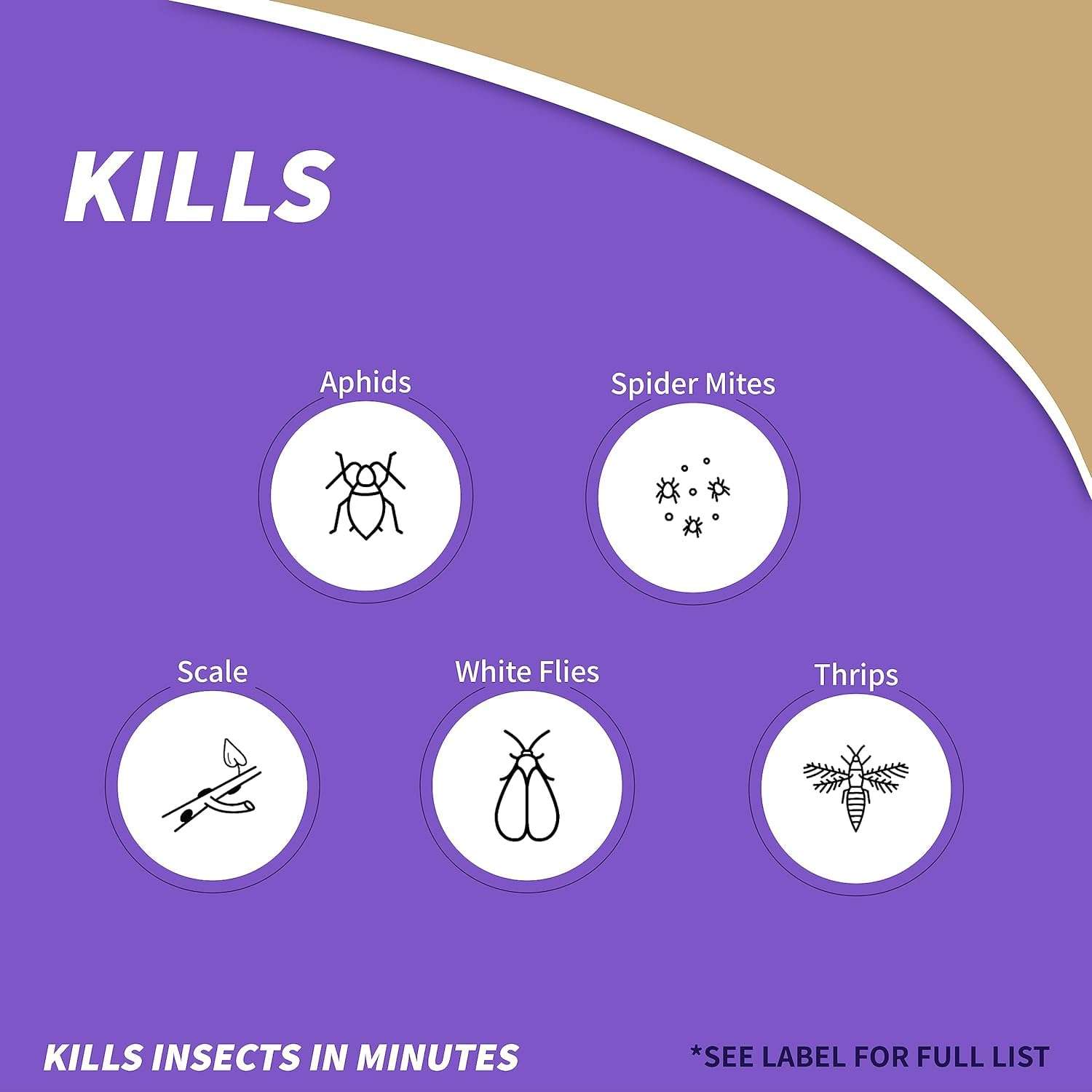 Bonide Insecticidal Soap, 32 oz Ready-to-Use Spray Multi-Purpose Insect Control for Organic Gardening Indoor and Outdoor- Pack of 2 4