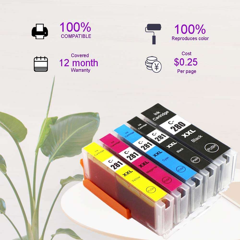 Karl Aiken Compatible Ink Cartridge Replacement for Canon 280 281 PGI-280XXL CLI-281XXL for PIXMA TR7520 TR8520 TS6120 TS6220 TS8220 TS9120 TS9520 TS9521C Printer (10PK 2BK 2PBK 2C 2M 2Y) 3