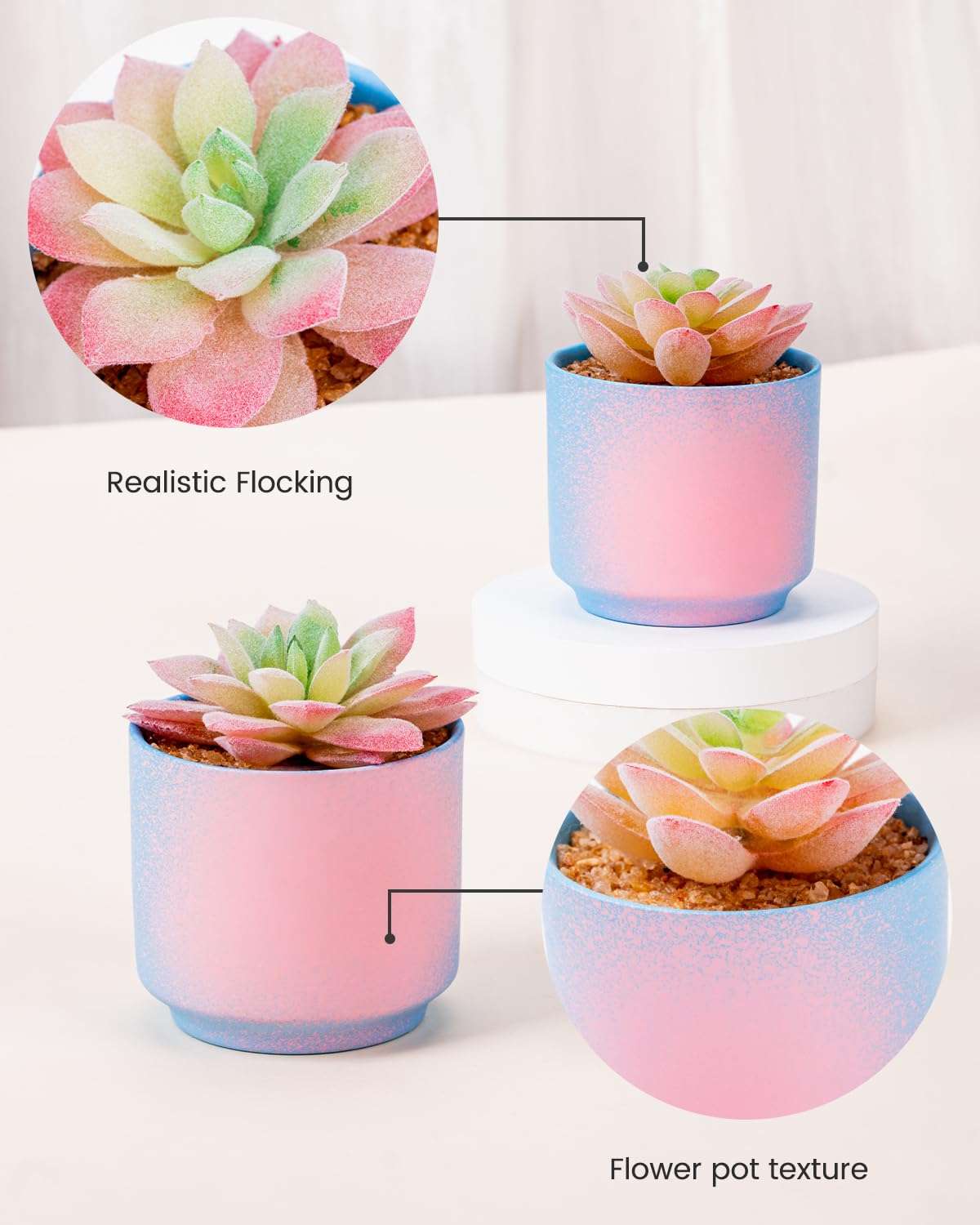 ZENIDA Pink and Blue Desk Decor, Fake Succulents with Pots, Artificial Plants, Small Fake Plants for Office, Desk, Bathroom, Bedroom, Office Decor for Women, Party Gifts 6