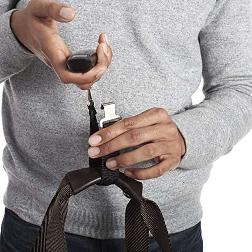 AmazonBasics Digital Luggage Scale 4