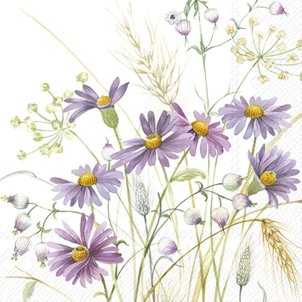 IHR Ideal Home Range - Paper Napkins LILAC ASTER 20-Count 3-Ply Cocktail Napkins 5 x 5 inches