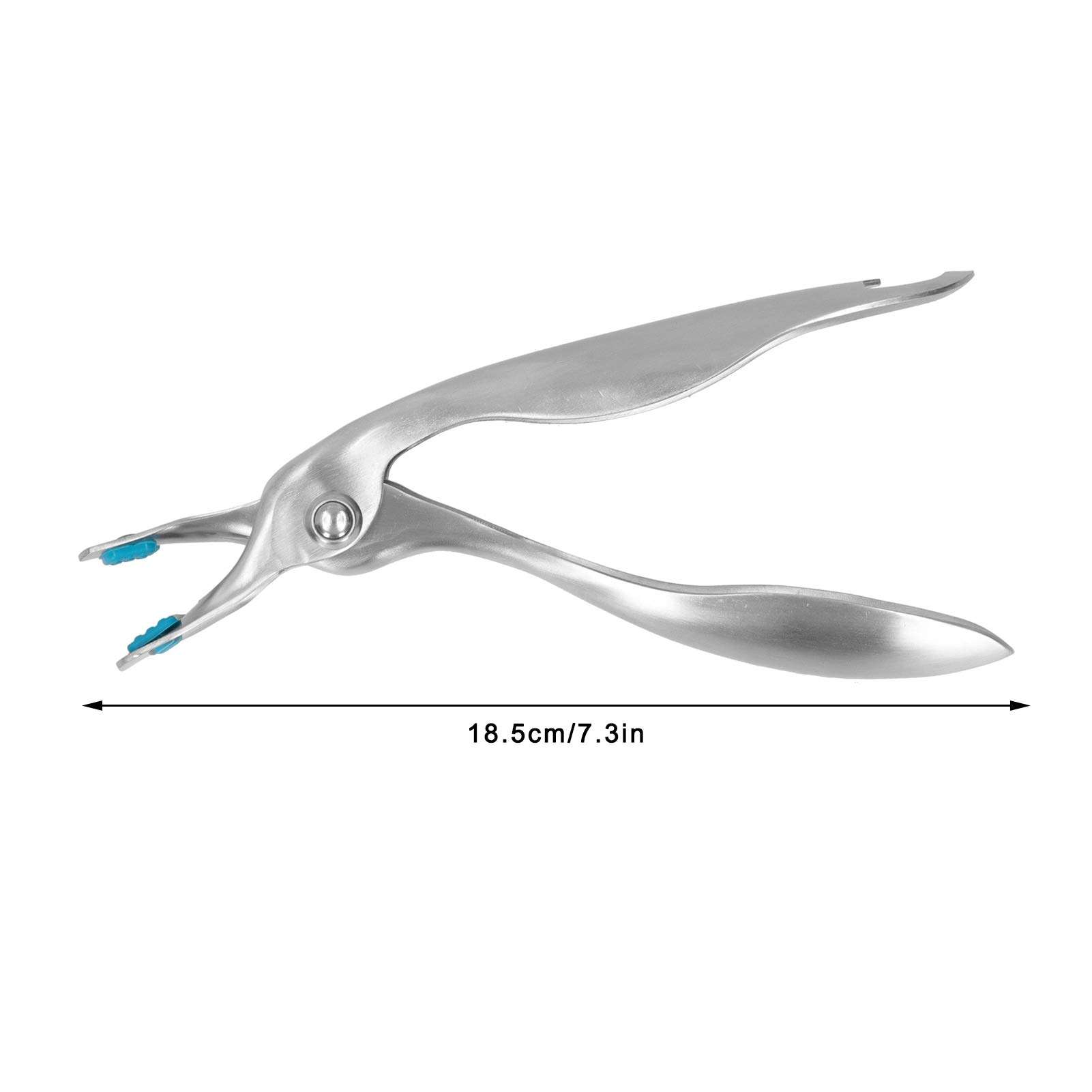 Hot Plate Gripper,Anti Scald Plate Clip Stainless Steel Bowl Dishes Holder Anti Hot Pot Pan Clamp Plate Gripper for Moving Hot Plate or Bowls with Food Out from Instant Pot Microwave Oven 3