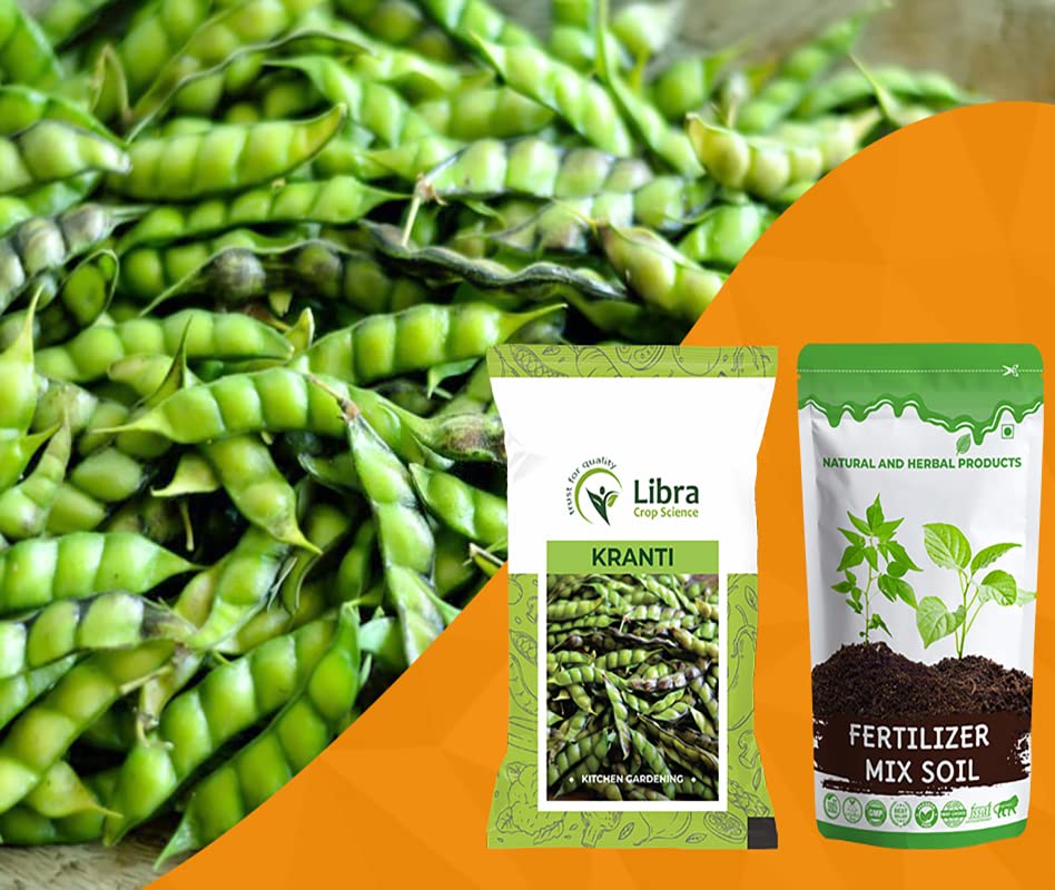 Vegetable Seeds | Pigeon Pea | Home | Farming | Garden | Kitchen | Hybrid | Planting | Terrace | Balcony | Eating | Guandules | Tur Fali | Tuver Sing | Tuvar Beans - 25 Gram : 173 Seed