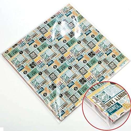 ClearBags 12 x 12 Clear Record Sleeves for 12 Inch Vinyl Record Albums | Adhesive Strip on Bag, Not Flap | Poly Vinyl Outer Sleeve Protects from Wear, Scratch, Dust | BLP1 Pack of 100 3