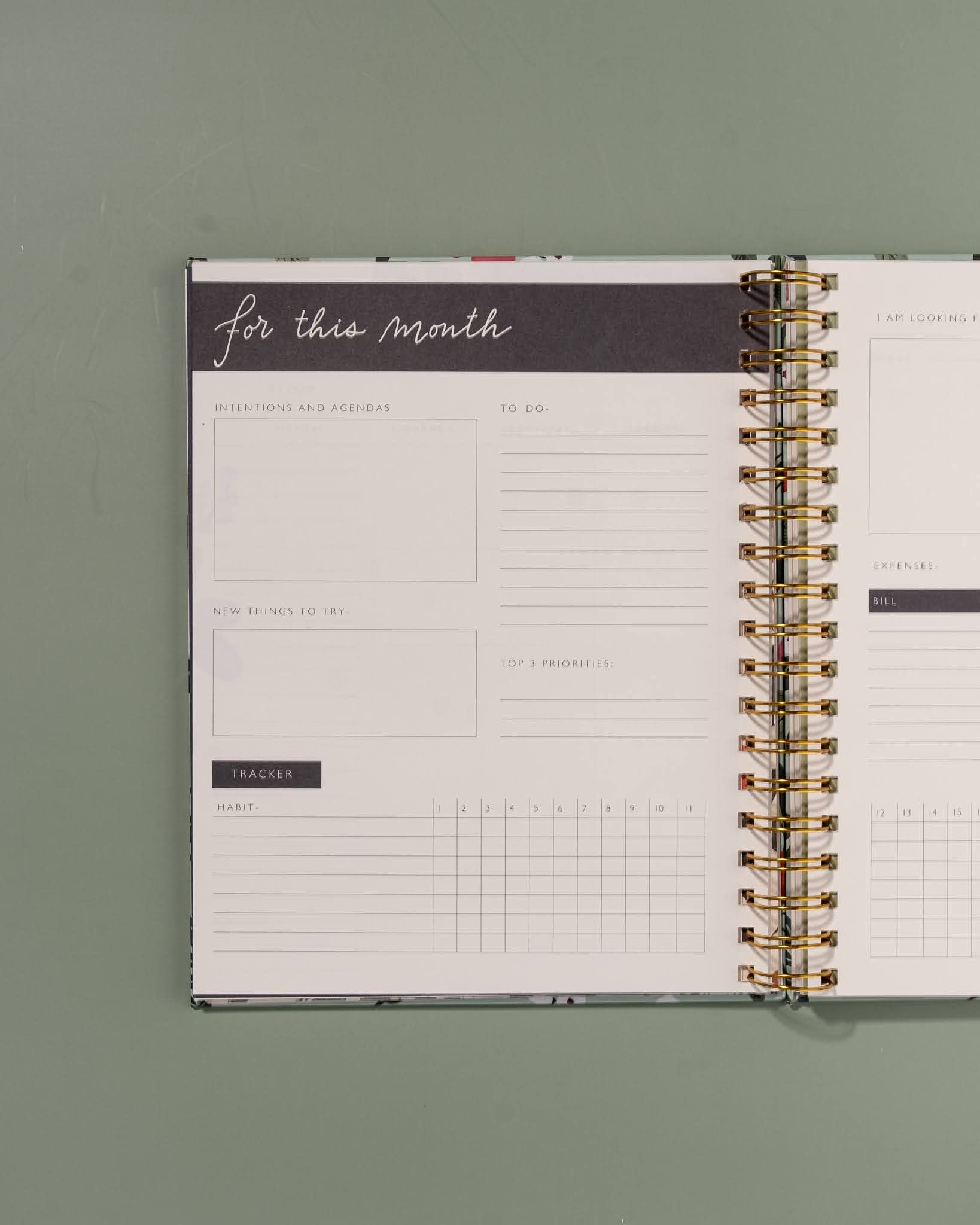The Ink Bucket Undated Tropical Mint Planner | Sturdy Print Magnetic Box and Gold Spiral Binding | 100gsm | Size 20cm X 25cm 4
