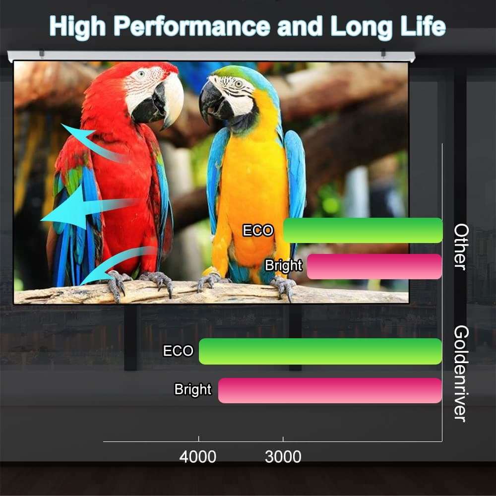 GOLDENRIVER SPLAMP007 Replacement Lamp with Housing Compatible with INFOCUS LP250 Projectors 2