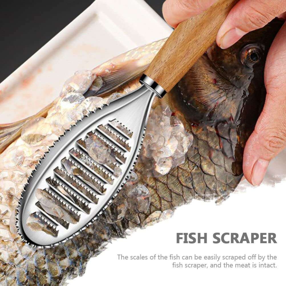 Fish Scaler Brush Stainless Steel Fish Scaler Remover Sawtooth Fish Scale Remove Tool for Kitchen Fish Cleaning Brush Scraper Kitchen Gadgets Accessories 5
