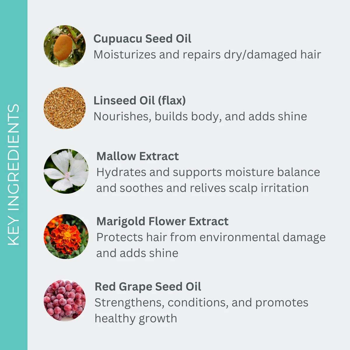 EVOLVh - Natural Ultimate Styling Lotion | Vegan, Non-Toxic, Clean Hair Care (2 fl oz | 60 mL) 4