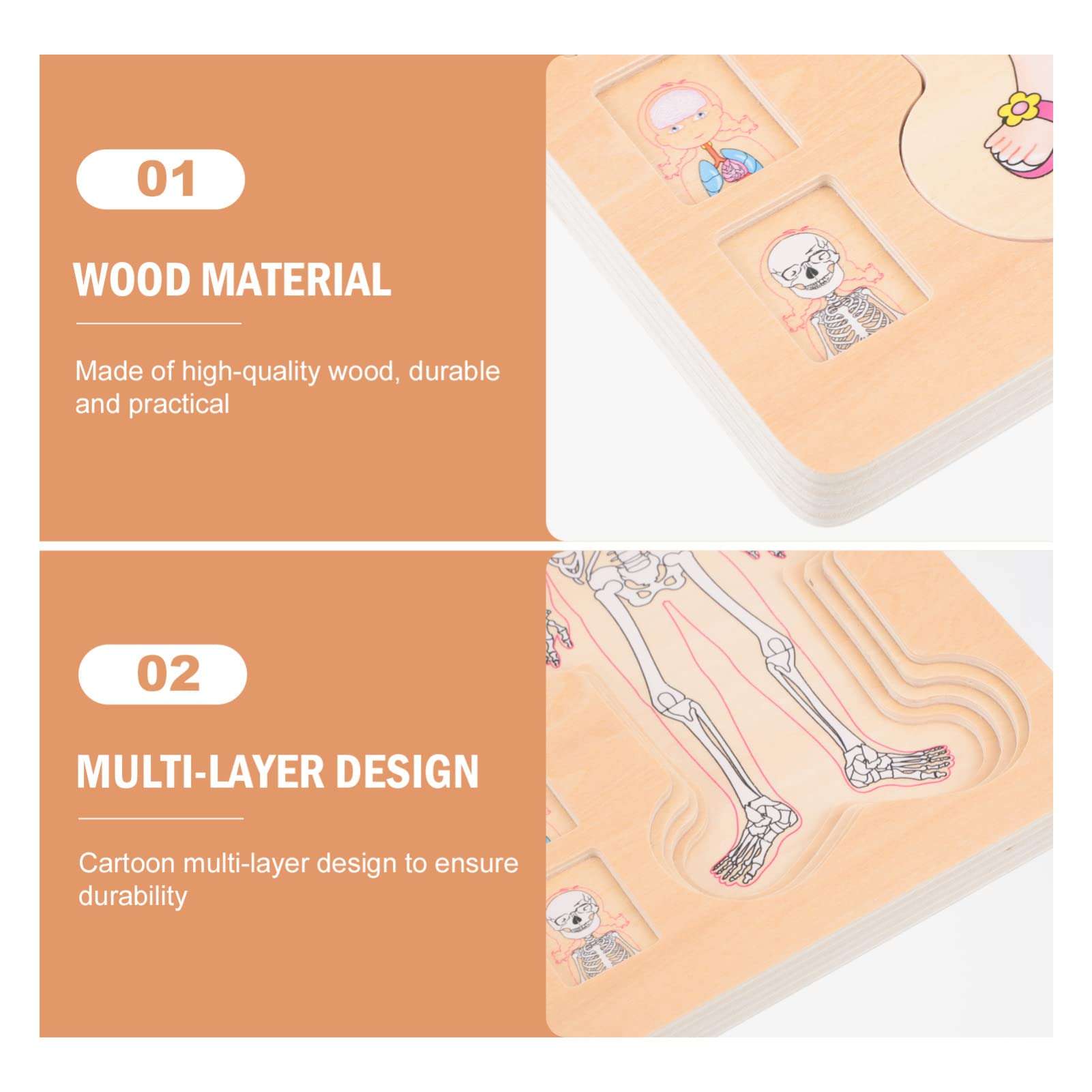 TOYANDONA 1pc Multilayer Puzzle Body Structure Toy Body Parts Puzzle Anatomy Puzzle for Kids My Body Puzzle Kids Shape Sorter Puzzle Toy Preschool Wooden Three-Dimensional 6