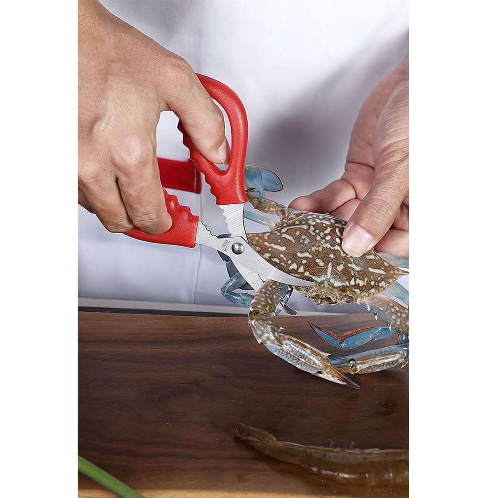 10 PCS Kitchen Seafood Scissors for Crab Legs,Multifunctional Stainless Steel Shears,Lobster Scissors, Crab Crackers and Seafood Tools 4