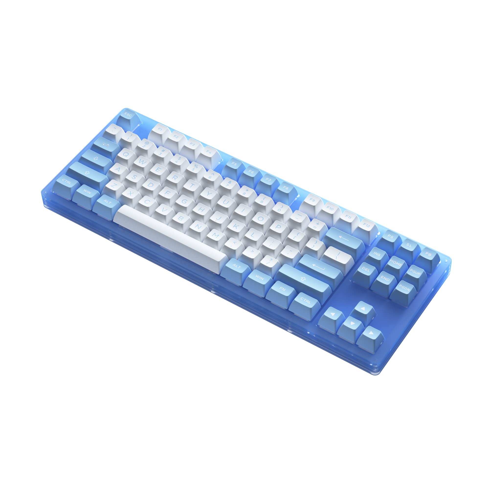 EPOMAKER AKKO ACR87 Doll of The Princess 87 Keys Hot Swappable RGB Wired 75% Mechanical Gaming Keyboard with Acrylic Translucent Case, Extra ASA PBT Keys Set for Mac/Win(AKKO CS Jelly Blue Switch) 4