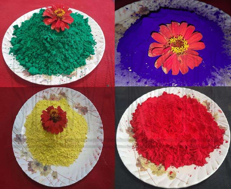 SHIVAKARI Combo of 100% Organic Gulal/Abir for Holi and Rangoli (Red,Purple,Yellow,Green) Pack of 250 Gr Each 1