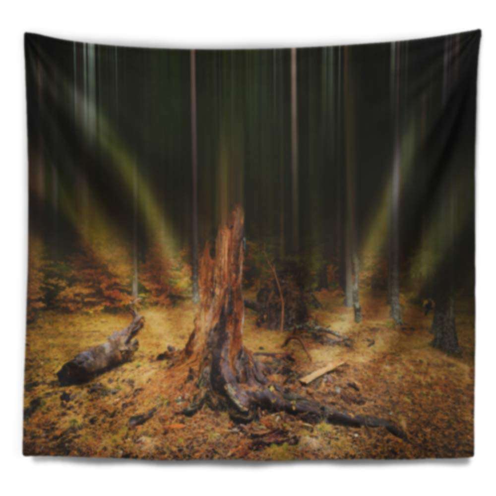 Designart ' Dark Fall Forest on Foggy Morning' Landscape Tapestry Blanket Décor Wall Art for Home and Office, Created On Lightweight Polyester Fabric Medium: 39 in. x 32 in 3