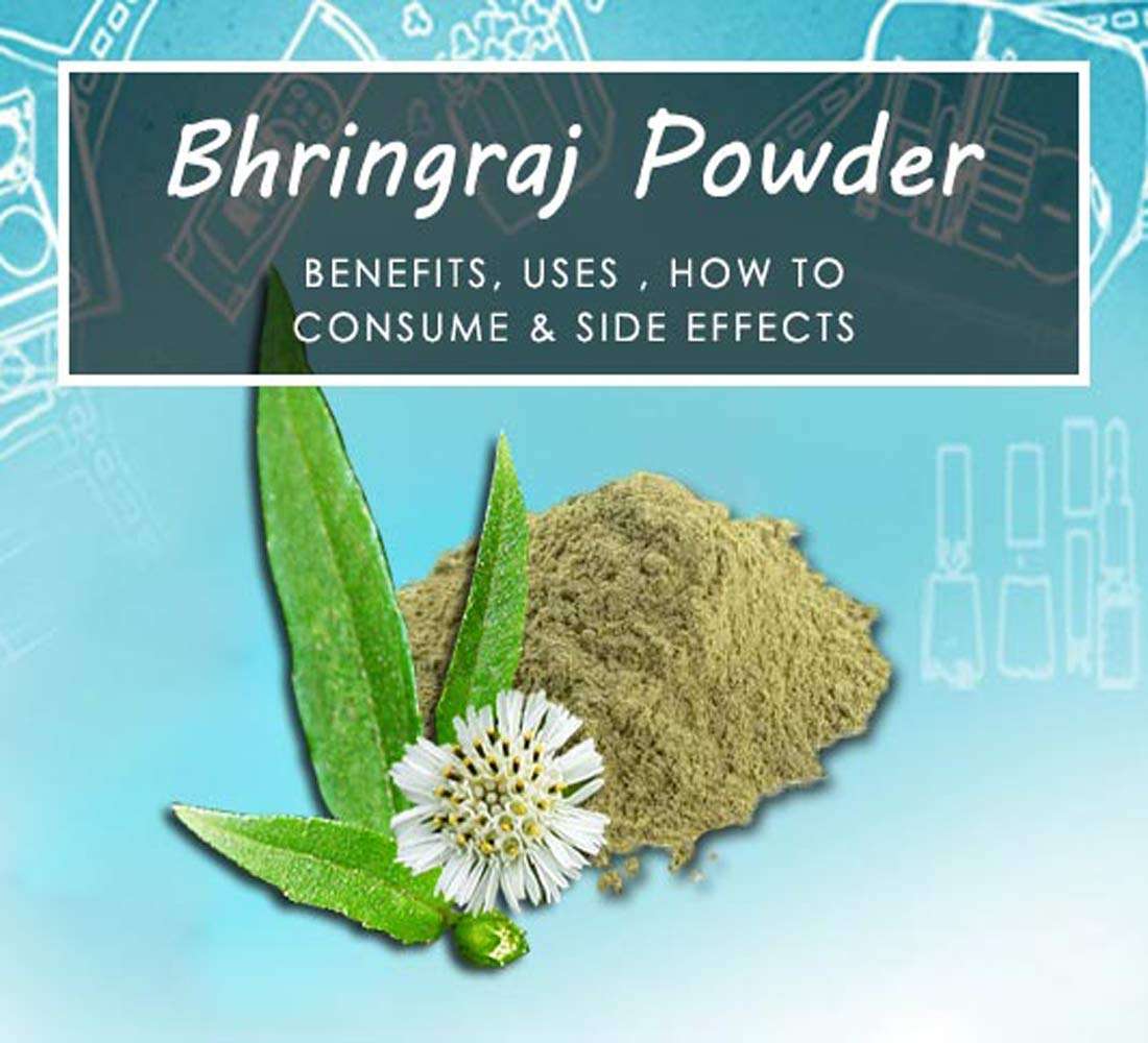 VADHIKA Pure Organic & Natural & Natural Bhringraj Powder For Hair & Skin- Pack of 3 (100 gm Each) 3