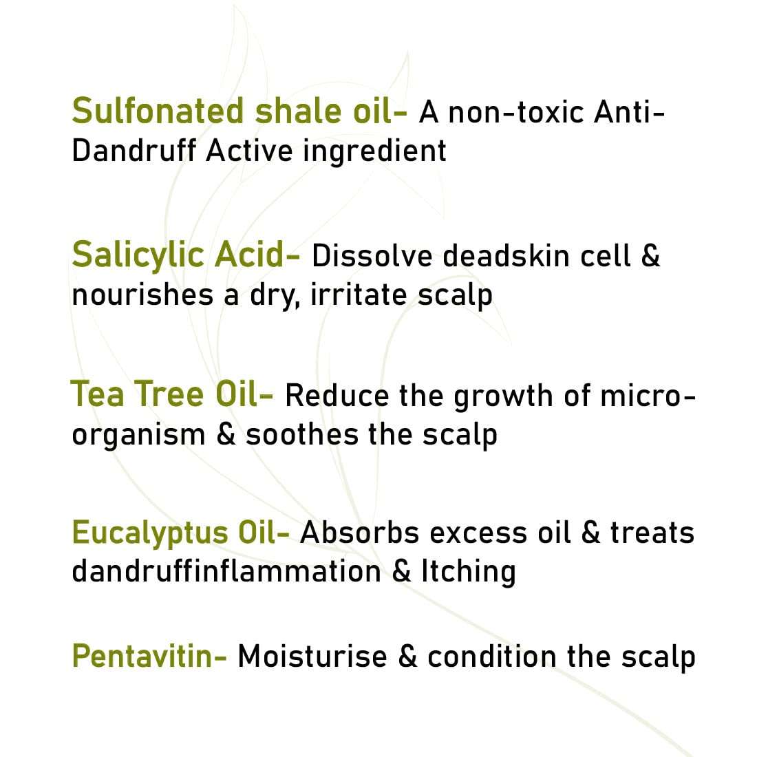 Keya Seth Aromatherapy, Scalp care Dandruff Removal Solution with Tea Tree & Eucalyptus Oil Non-Sticky, Non-Oily –Reduces Flakes & Itchy Scalp120ml 6