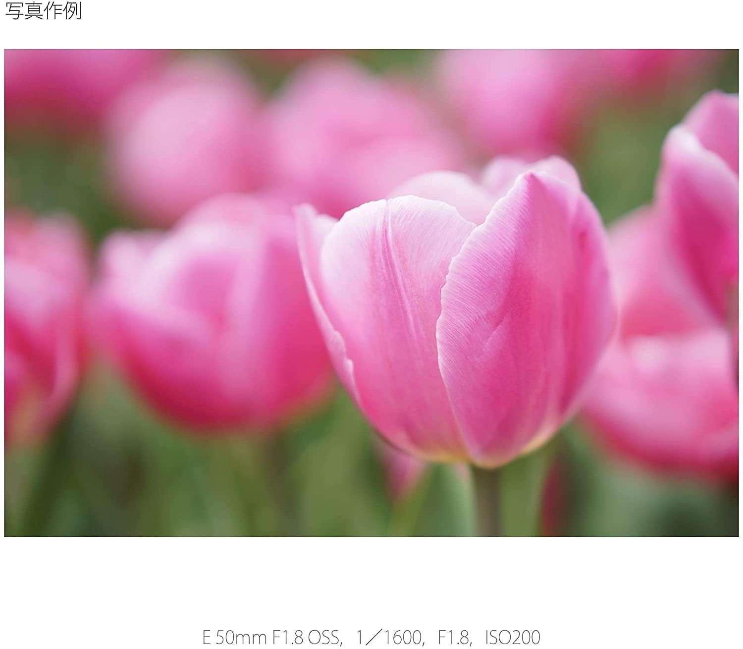 SONY E 50mm F1.8 OSS SEL50F18 -B (Black) for Sony E-mount Nex cameras - International Version (No Warranty) 6