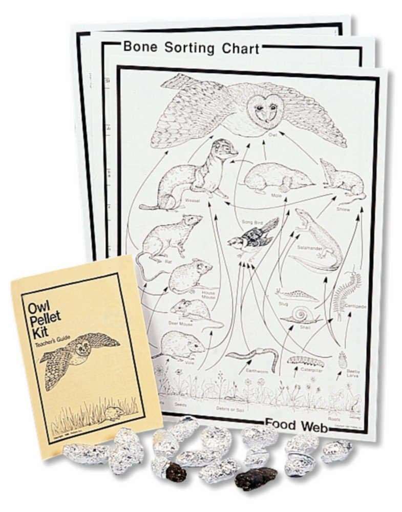 Barn Owl Pellet Classroom Kit 1