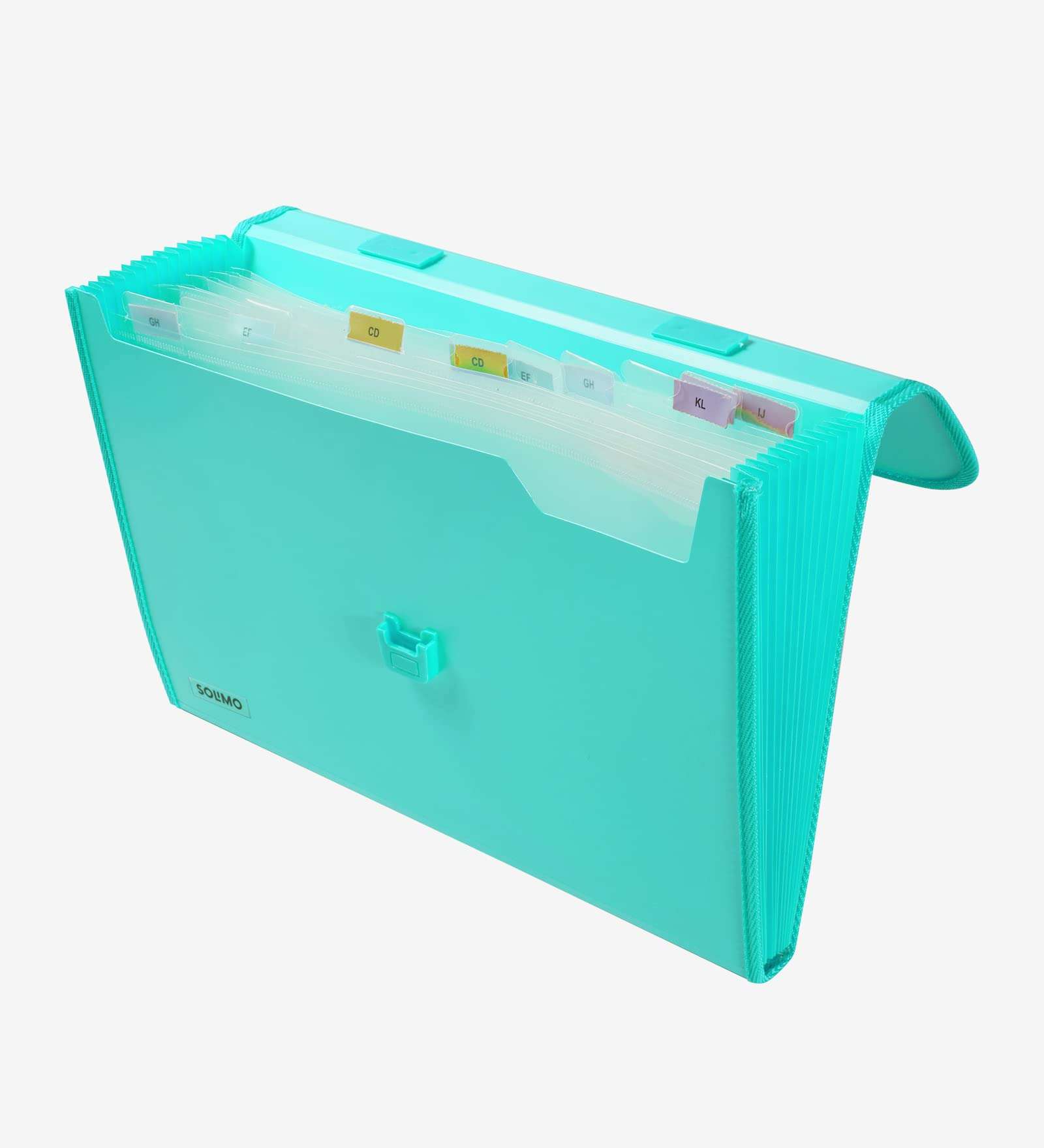 Amazon Brand - Solimo Plastic Expanding File Folder with 13 Pockets, Handle, and Buckle Closure, for A4 Size Documents (Green) 4